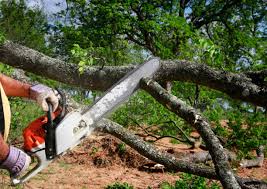 Lawn Renovation and Restoration in Toquerville, UT